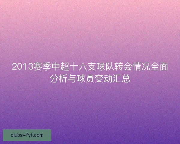 2013赛季中超十六支球队转会情况全面分析与球员变动汇总