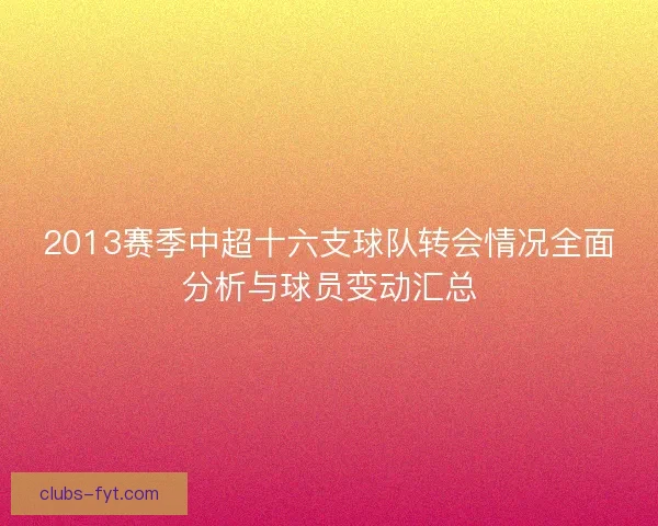 2013赛季中超十六支球队转会情况全面分析与球员变动汇总